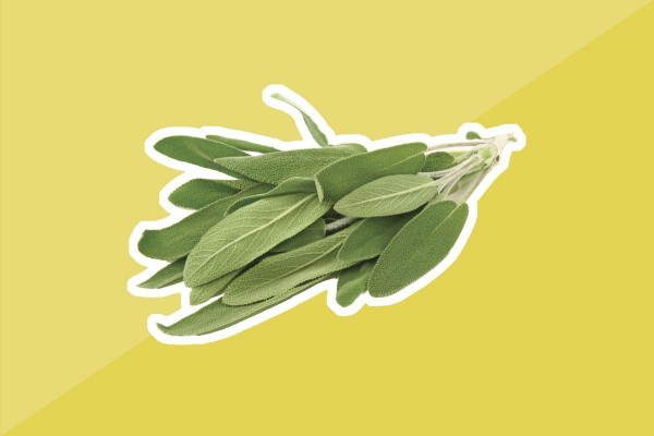 طرق التخلص من الروائح الكريهة في منزلك طرق التخلص من الروائح الكريهة في منزلك