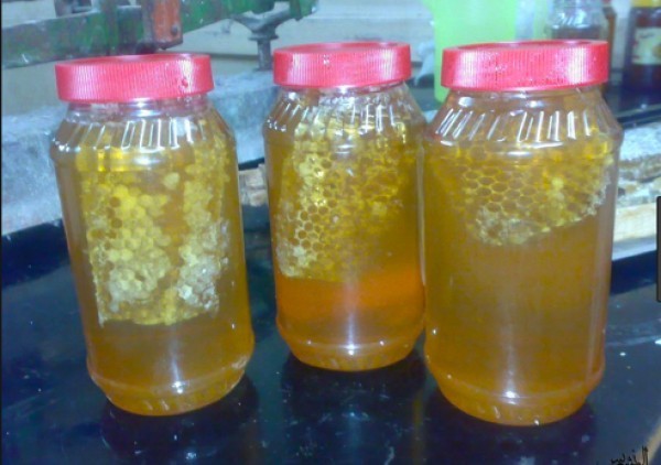 فوائد عسل زهرة البرسم البرية