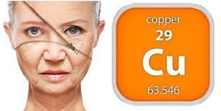 فوائد النحاس للجسم و الأطعمة التي تحتوي علي النحاس