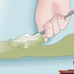 ماسكات الصبار للوجه لكل أنواع البشرة