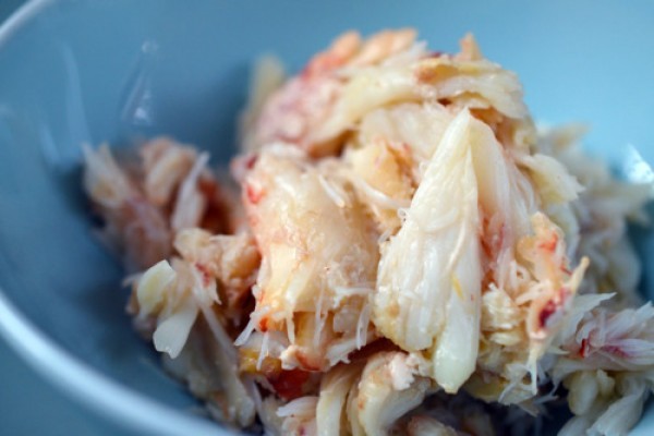 وصفة عمل شوربة الأفوكادو بالسلطعون بالصور وصفة عمل شوربة الأفوكادو بالسلطعون بالصور