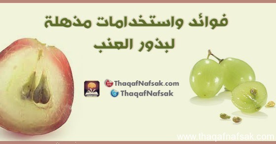 فوائد مذهلة لبذور العنب اكتشف ماهي فوائد بذور العنب فوائد مذهلة لبذور العنب اكتشف ماهي فوائد بذور العنب