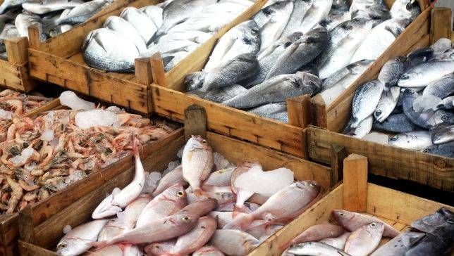 كيف تشتري السمك الطازج والأنواع اللذيذة لأحلى أكلة سمك كيف تشتري السمك الطازج والأنواع اللذيذة لأحلى أكلة سمك