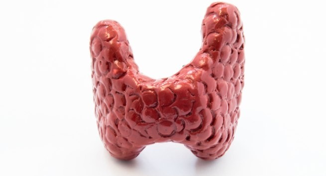 ٨ مشاكل صحية تعود اسبابها إلي الغدة الدرقية