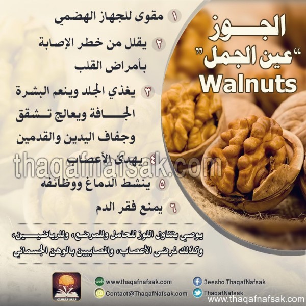 أنواع المكسرات و فوائدها أنواع المكسرات و فوائدها