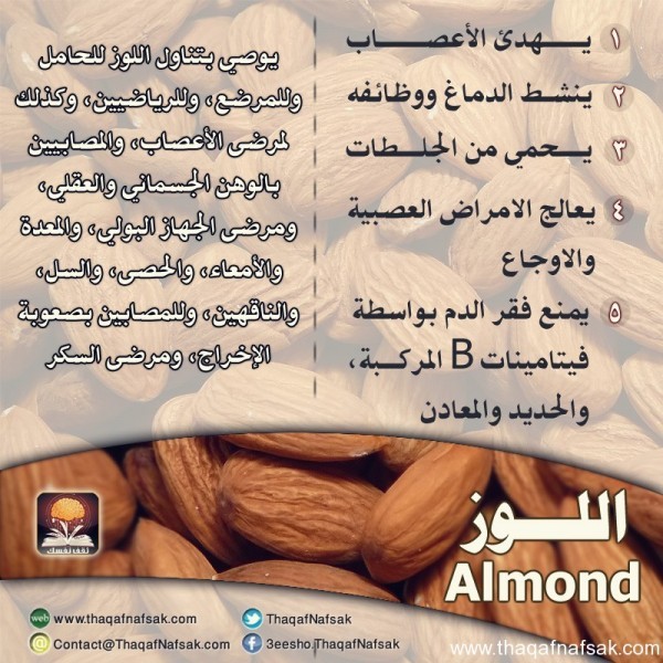 أنواع المكسرات و فوائدها أنواع المكسرات و فوائدها