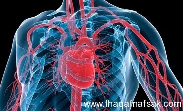 فوائد الصيام لجسم الانسان كيف يحسن الصوم من الحالة الصحية والنفسية فوائد الصيام لجسم الانسان كيف يحسن الصوم من الحالة الصحية والنفسية