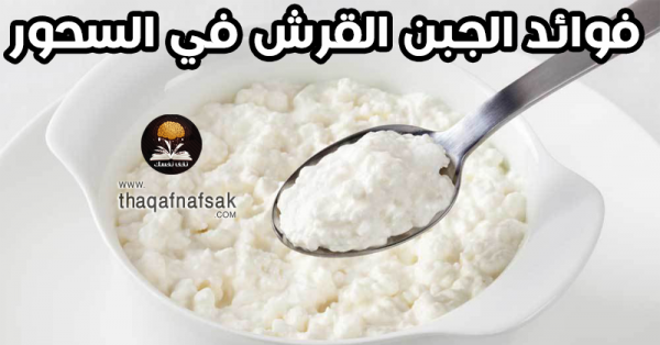 فوائد الجبن القريش في سحور رمضان فوائد الجبن القريش في سحور رمضان