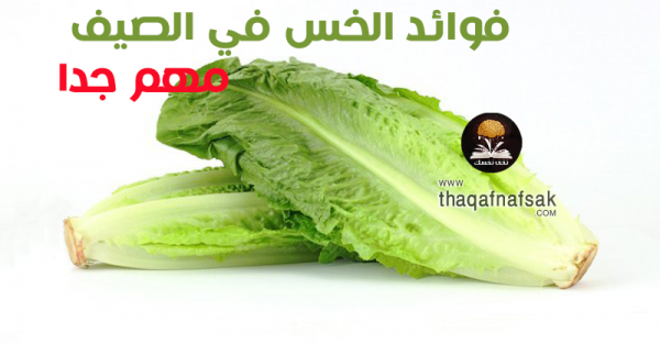 فوائد الخس في الصيف ١٩ فائدة لجسمك