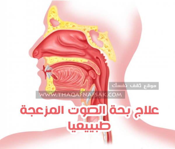 علاج بحة الصوت بـ ٢٠ وصفة مفيدة للجهاز التنفسي كله علاج بحة الصوت بـ ٢٠ وصفة مفيدة للجهاز التنفسي كله