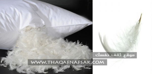 أنواع الوسائد والأفضل لصحتك بالصور أنواع الوسائد والأفضل لصحتك بالصور