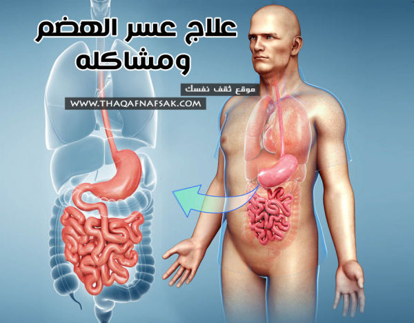 علاج عسر الهضم بسبعة أعشاب تُغني عن الدواء علاج عسر الهضم بسبعة أعشاب تُغني عن الدواء