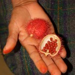 فواكة غريبة قد تراها لأول مرة بالصور