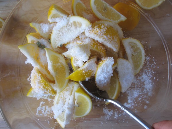 فوائد ملح الليمون ١٨ فائدة