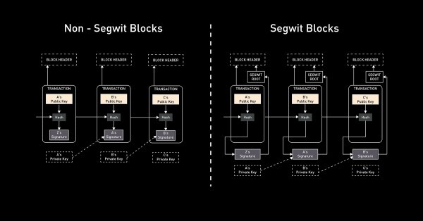 ما هو تفرّع SegWit ضمن شبكة بتكوين وما سبب الجدل الكبير حوله؟ ما هو تفرّع SegWit ضمن شبكة بتكوين وما سبب الجدل الكبير حوله؟