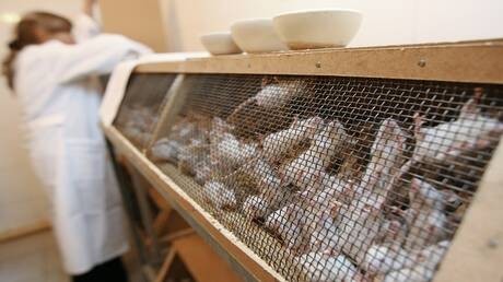 العالماء: العزلة الاجتماعية تمنع الإنسان من مكافحة العادات الضارة