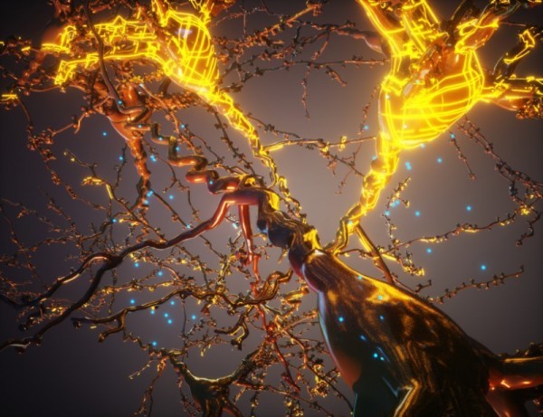 علماء يعيدون برمجة الخلايا وراثياً لتشكيل بُنى اصطناعية قادرة على أداء وظائف داخل الجسم