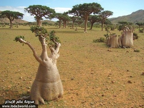 أغرب 10 أماكن على ظهر الأرض أغرب 10 أماكن على ظهر الأرض