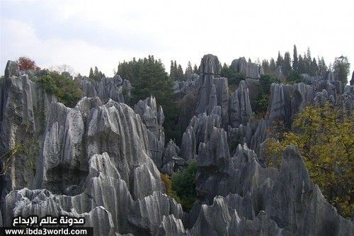 أغرب 10 أماكن على ظهر الأرض أغرب 10 أماكن على ظهر الأرض