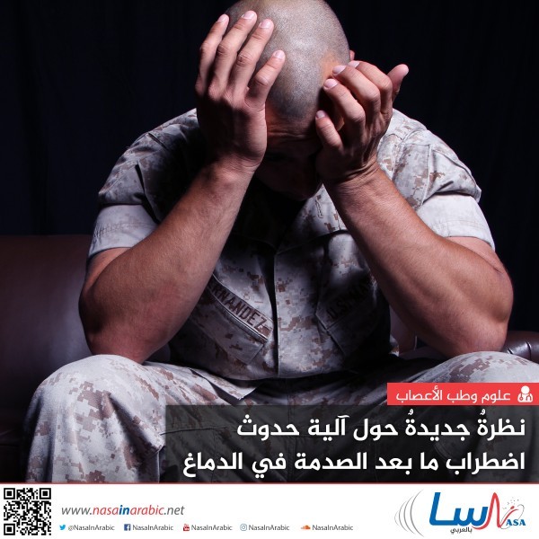 آلية اضطراب ما بعد الصدمة في الدماغ.. نظرة جديدة آلية اضطراب ما بعد الصدمة في الدماغ.. نظرة جديدة