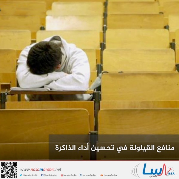 منافع القيلولة في تحسين أداء الذاكرة