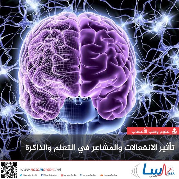 تأثير الانفعالات والمشاعر في التعلم والذاكرة