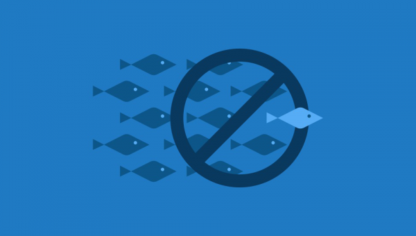 كيف يمكنك كشف الحسابات المزيفة على منصات التواصل الاجتماعي؟