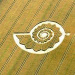 دوائر المحاصيل .. الظاهرة الغامضة التي لاتزال لغزا حتى الآن !