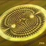 دوائر المحاصيل .. الظاهرة الغامضة التي لاتزال لغزا حتى الآن !