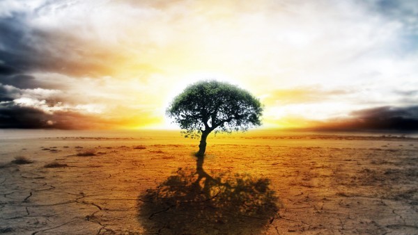 نصائح لمساعدتك في تنظيم وتبسيط حياتك المثقلة بأعباء كبيرة