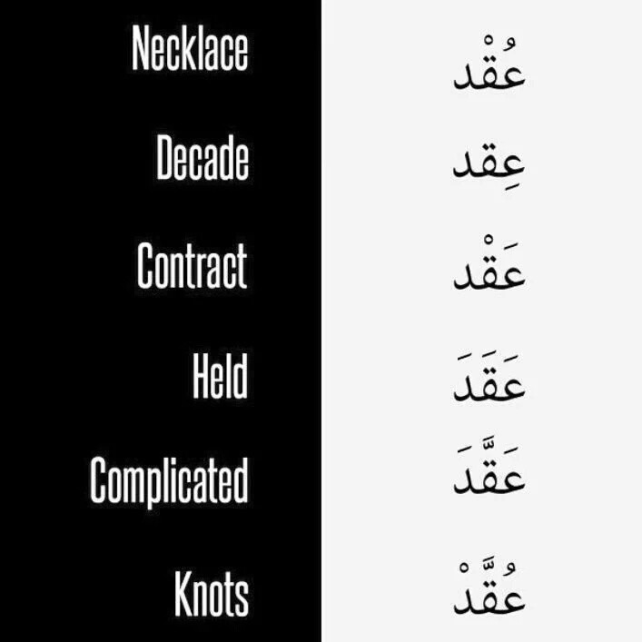 من عجائب اللغة العربية: هل تعلم كم عدد الكلمات التي تشير إلى “الإبل”؟ من عجائب اللغة العربية: هل تعلم كم عدد الكلمات التي تشير إلى “الإبل”؟