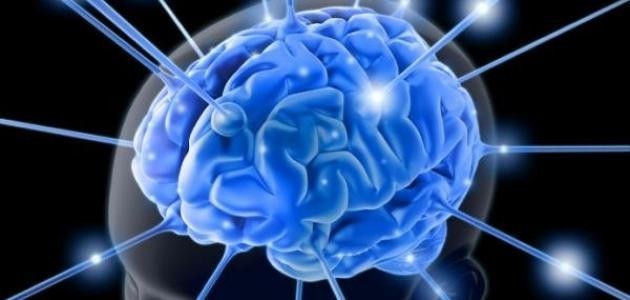 الفرق بين العلم والمعرفة