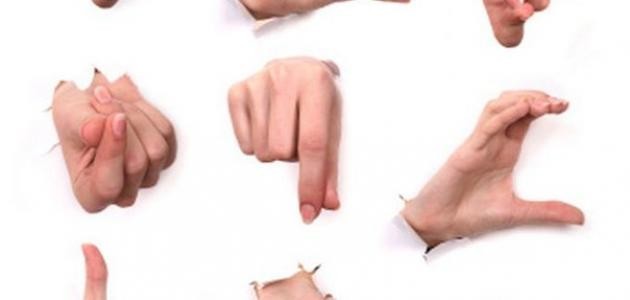 كيف أتعلم لغة الجسد كيف أتعلم لغة الجسد