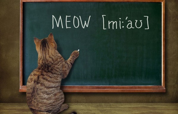 كمعلم، تواجهك أنماط مختلفة من الطلاب داخل الصف… تعرف على كيفية التعامل مع كل منها