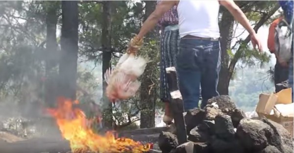 شعب المايا … حقائق وعجائب عن حضارة المايا شعب المايا … حقائق وعجائب عن حضارة المايا