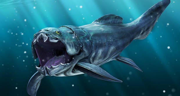 العصور الجيولوجية للأرض ، ومراحل تطور الحياة على الكوكب