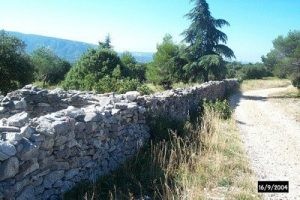 أسوأ عشرة أوبئة على مر التاريخ أسوأ عشرة أوبئة على مر التاريخ