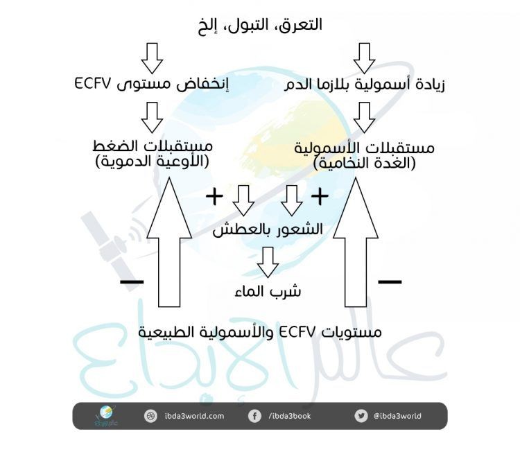 أسئلة سخيفة بإجابات علمية: لماذا لا يروي عطشنا إلا الماء؟ أسئلة سخيفة بإجابات علمية: لماذا لا يروي عطشنا إلا الماء؟