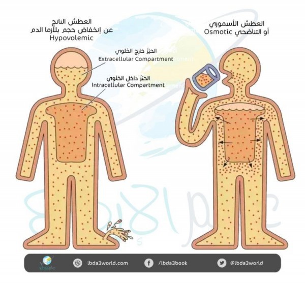 أسئلة سخيفة بإجابات علمية: لماذا لا يروي عطشنا إلا الماء؟ أسئلة سخيفة بإجابات علمية: لماذا لا يروي عطشنا إلا الماء؟