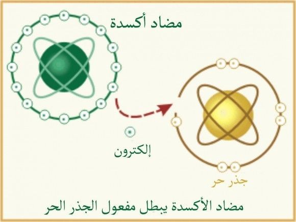 الهيل: نكهة محببة ومنافع صحية مدهشة! الهيل: نكهة محببة ومنافع صحية مدهشة!