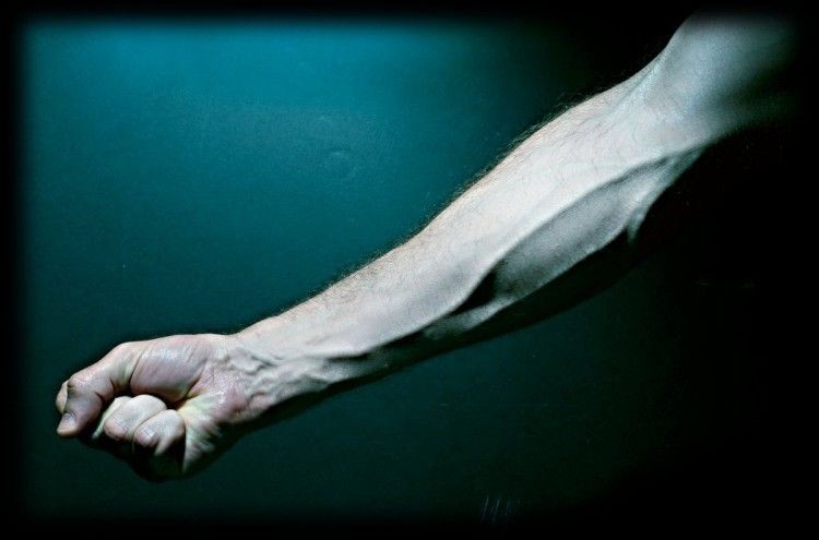 حقائق علمية غير صحيحة ستندهش عند معرفتها – الجزء الأول حقائق علمية غير صحيحة ستندهش عند معرفتها – الجزء الأول