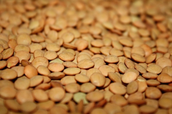 9 مواد غذائية تمنح جسدك الكثير من الطاقة و النشاط 9 مواد غذائية تمنح جسدك الكثير من الطاقة و النشاط