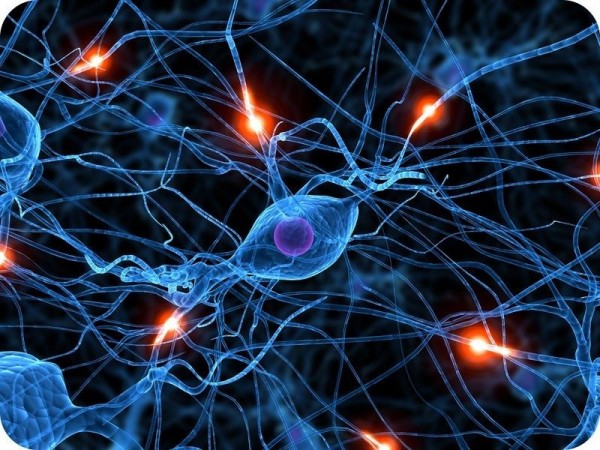 حقائق رائعة وغريبة عن الجسم البشري حقائق رائعة وغريبة عن الجسم البشري