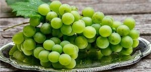 أسماء فواكه لونها أخضر أسماء فواكه لونها أخضر