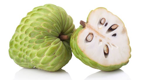 أنواع فاكهة القشطة