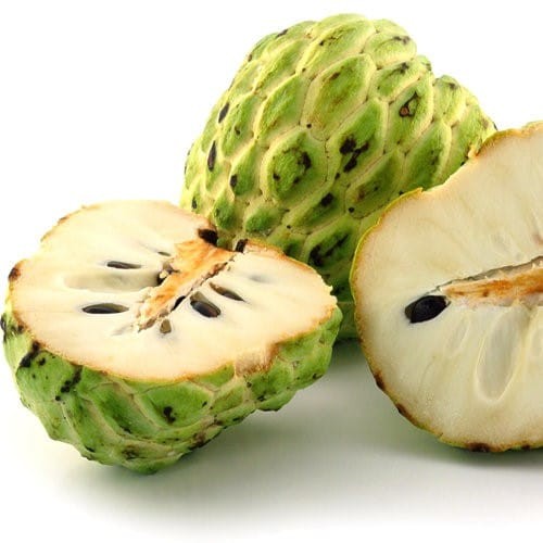 أنواع فاكهة القشطة