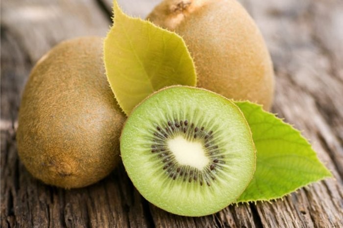 فوائد الكيوي للقولون العصبي فوائد الكيوي للقولون العصبي