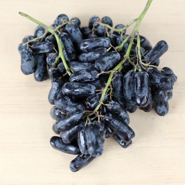 عنب قطرات القمر