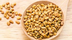 فوائد الحلبة للبروستاتا فوائد الحلبة للبروستاتا