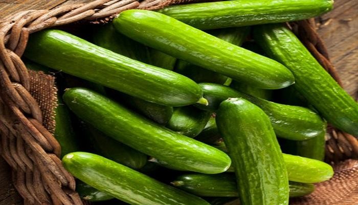 هل الحلبة تدر البول هل الحلبة تدر البول
